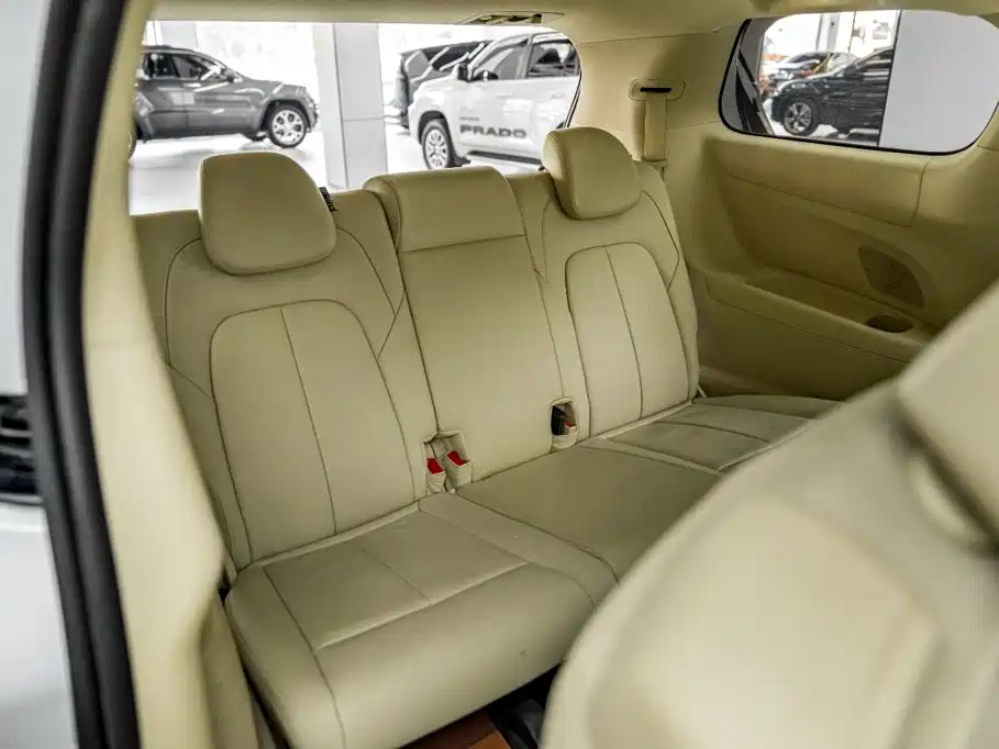 Buick GL8 — миниатюра 19