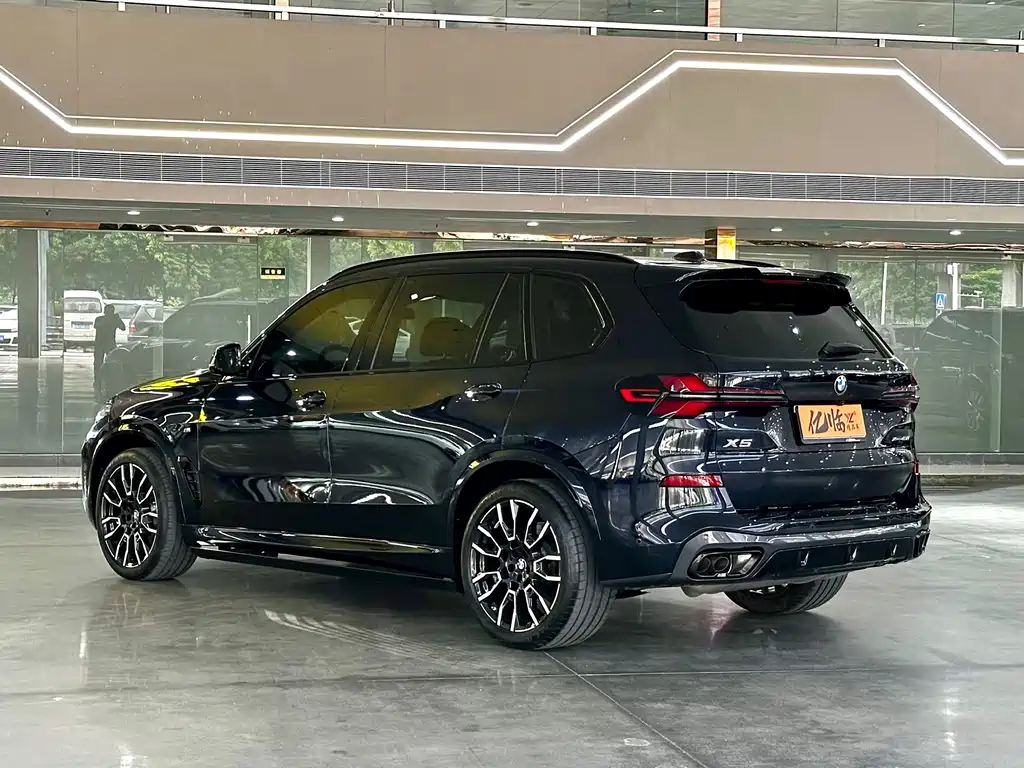 BMW X5 — миниатюра 18