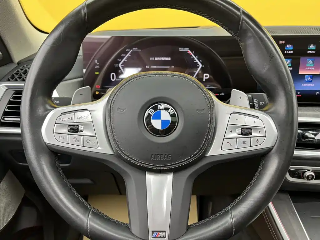 BMW X5 — миниатюра 18
