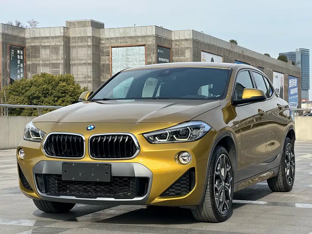 BMW X2 (Import) 2019