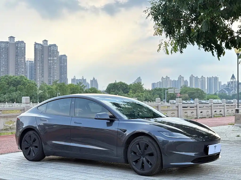 Tesla Model 3 — миниатюра 3