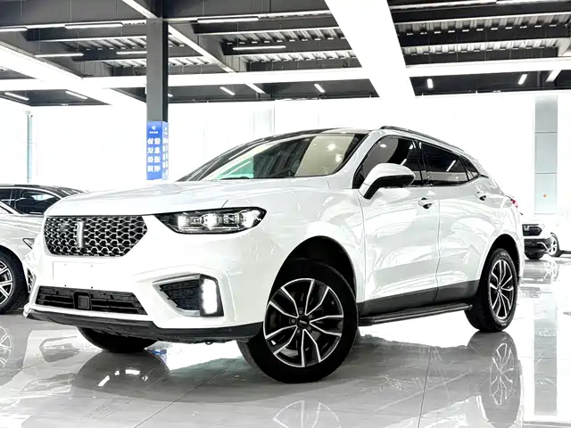 2021 Wey VV5
