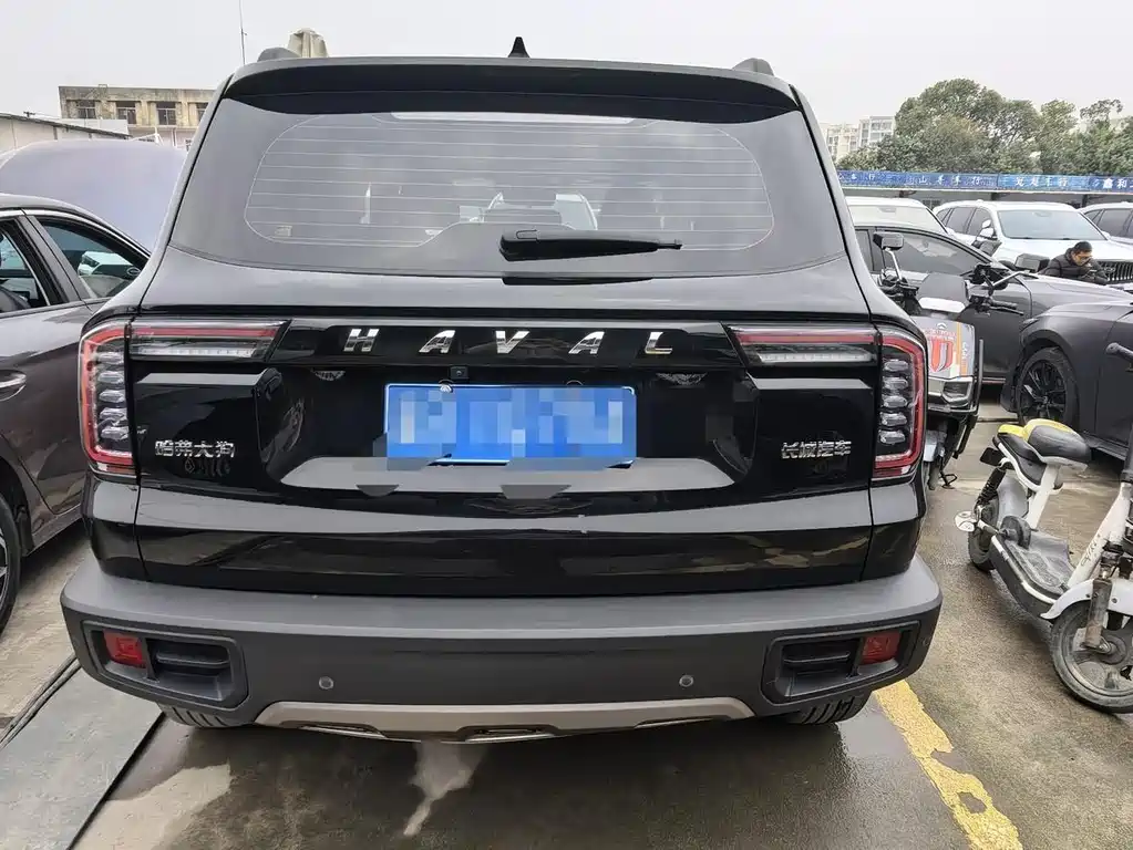 HAVAL BIG DOG
