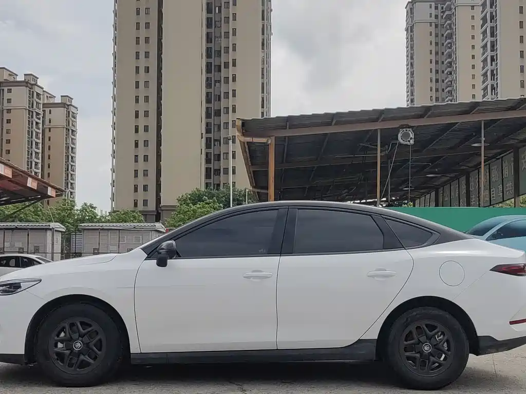 BYD Qin Plus PLUS 2025 DM-i Smart Drive 55KM Lead
