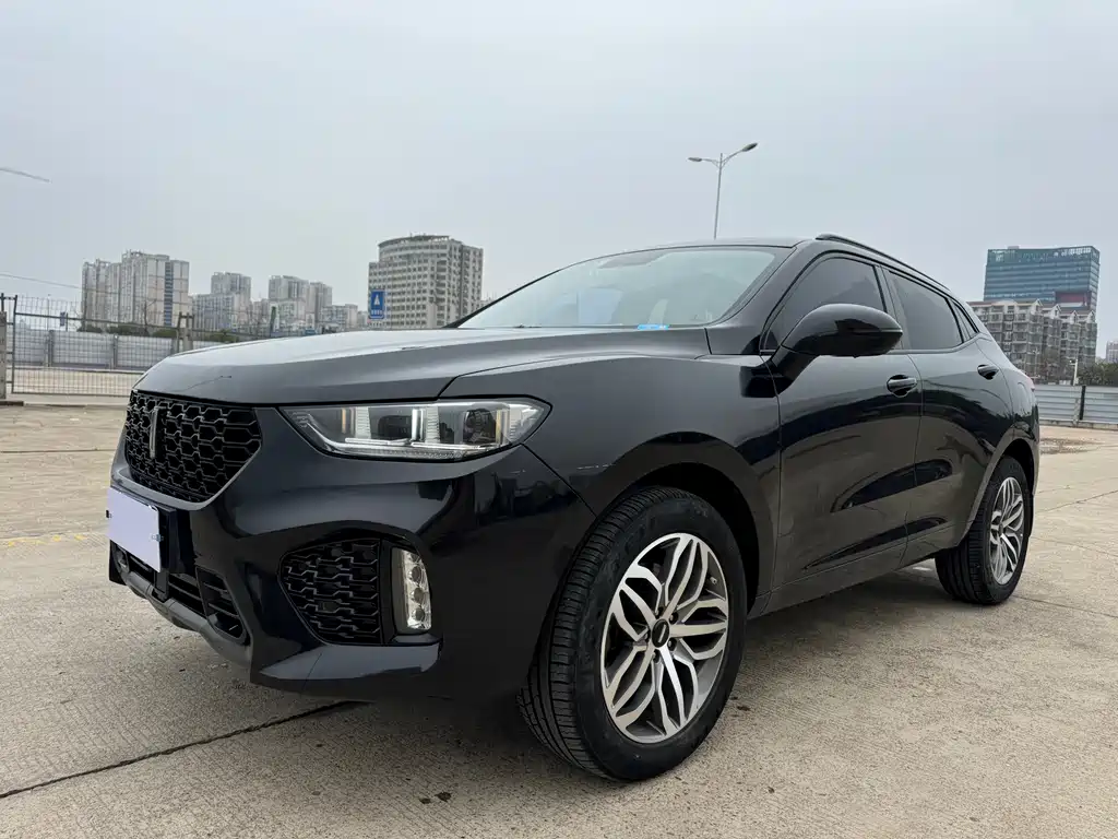 WEI PAI WEI BRAND VV5