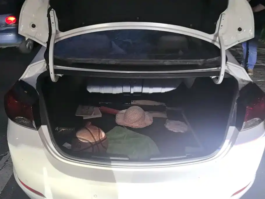 Hyundai Elantra Langdong — миниатюра 4