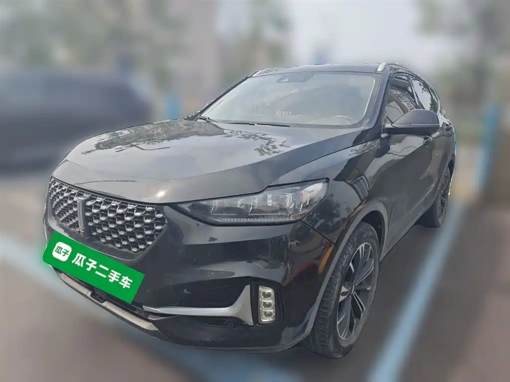 Купить Wey Wey VV6