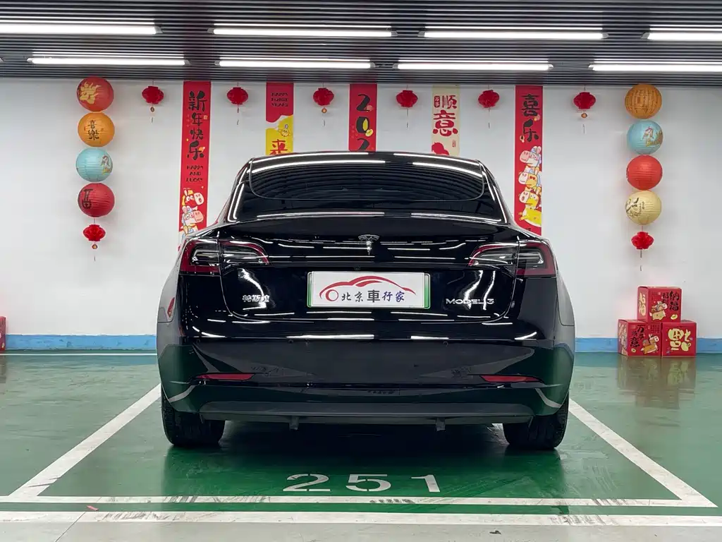 Tesla Model 3 2021 3D6