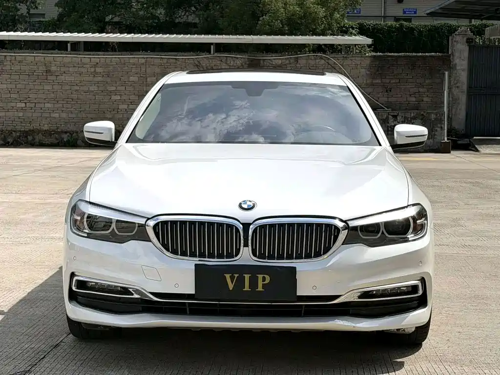 BMW 5 Series — миниатюра 3