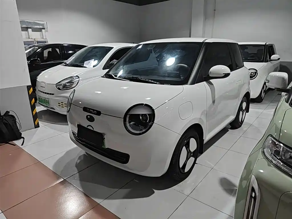 Qiyuan Lumin 2025