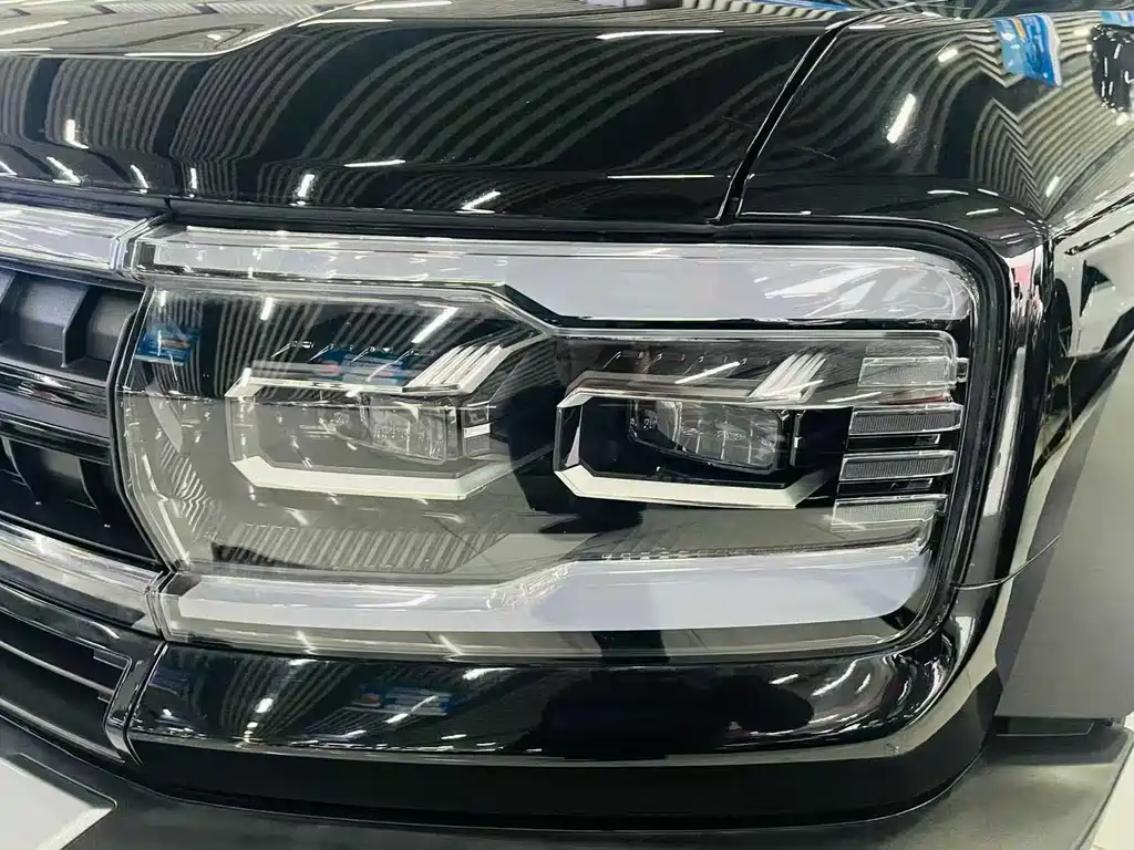 FANG CHENG BAO LEOPARD 5