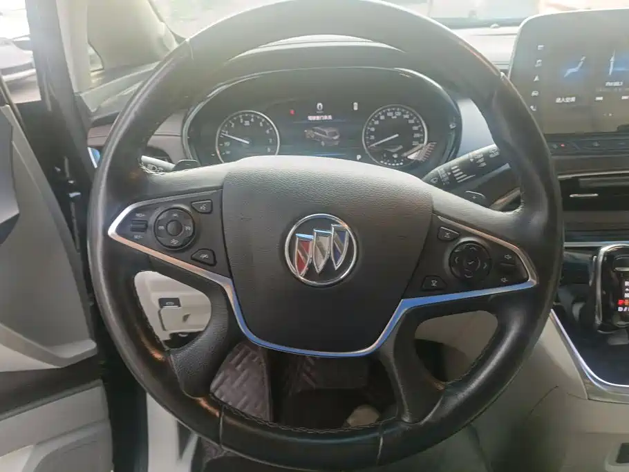 Buick GL8 — миниатюра 14