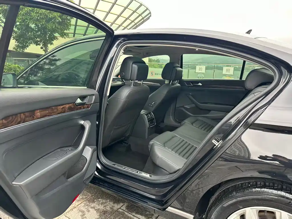 Volkswagen Magotan 2019 380TSI DSG Luxury V