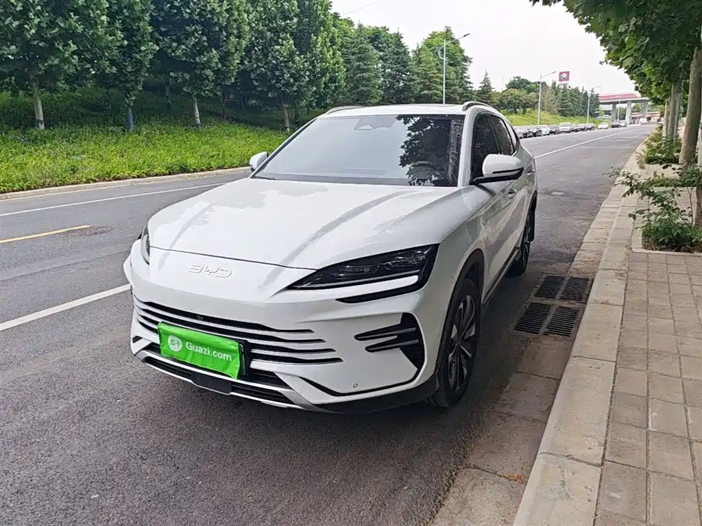 Byd PLUS New Energy 2024