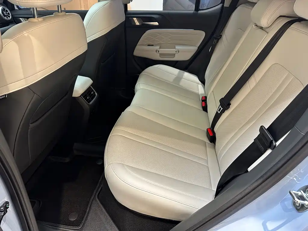 TANK TANK 300 NEW ENERGY