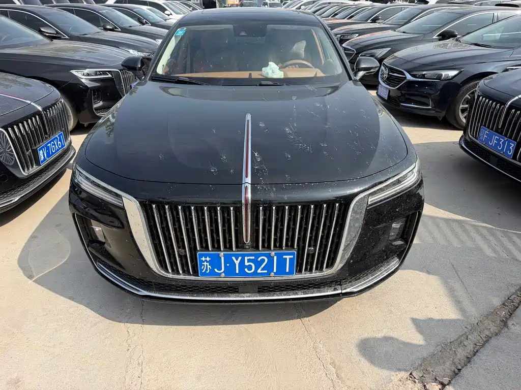 Hongqi Hongqi H9 2021