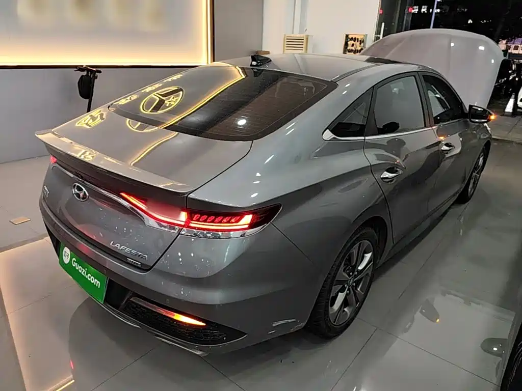 Hyundai Fista — миниатюра 7