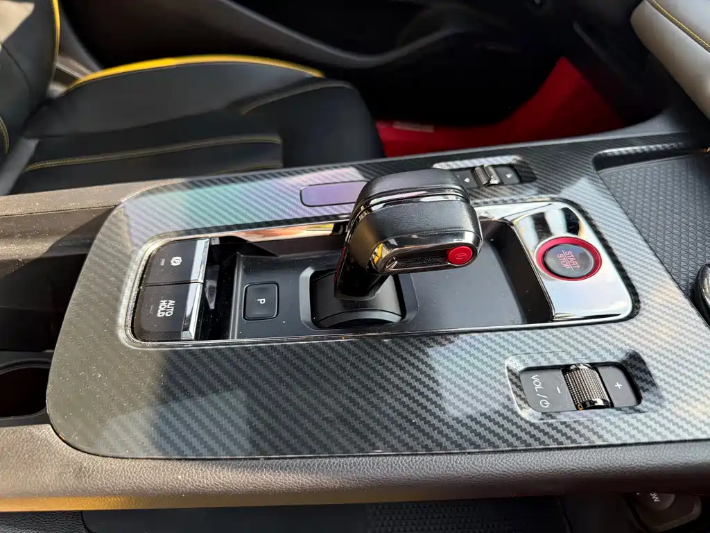 GAC Motor Shadow Leopard — миниатюра 13