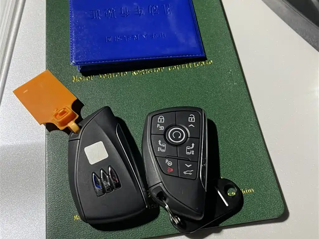 BUICK GL8 NEW ENERGY