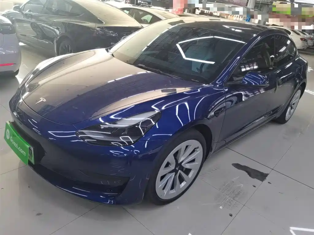 Tesla Model 3 2021