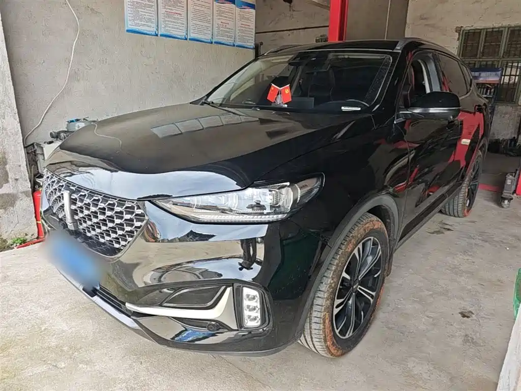 Wey Wey VV6 2021