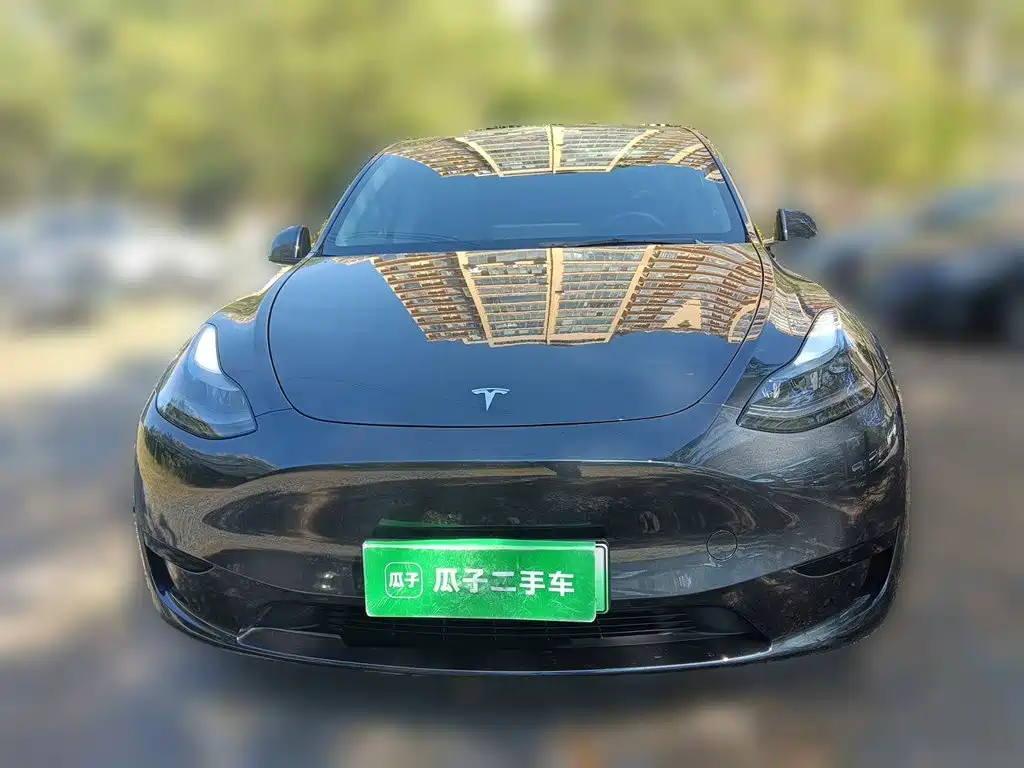 Tesla Model Y — миниатюра 2