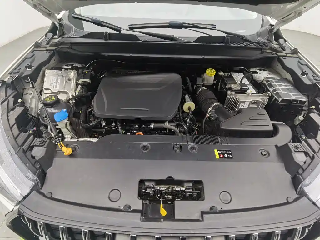 Haval Chitu — миниатюра 6