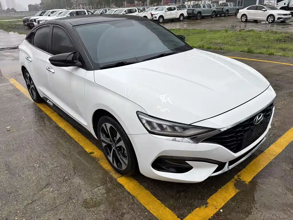 Hyundai Fista — миниатюра 3