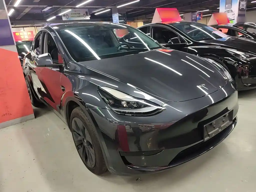 Tesla Model Y — миниатюра 4