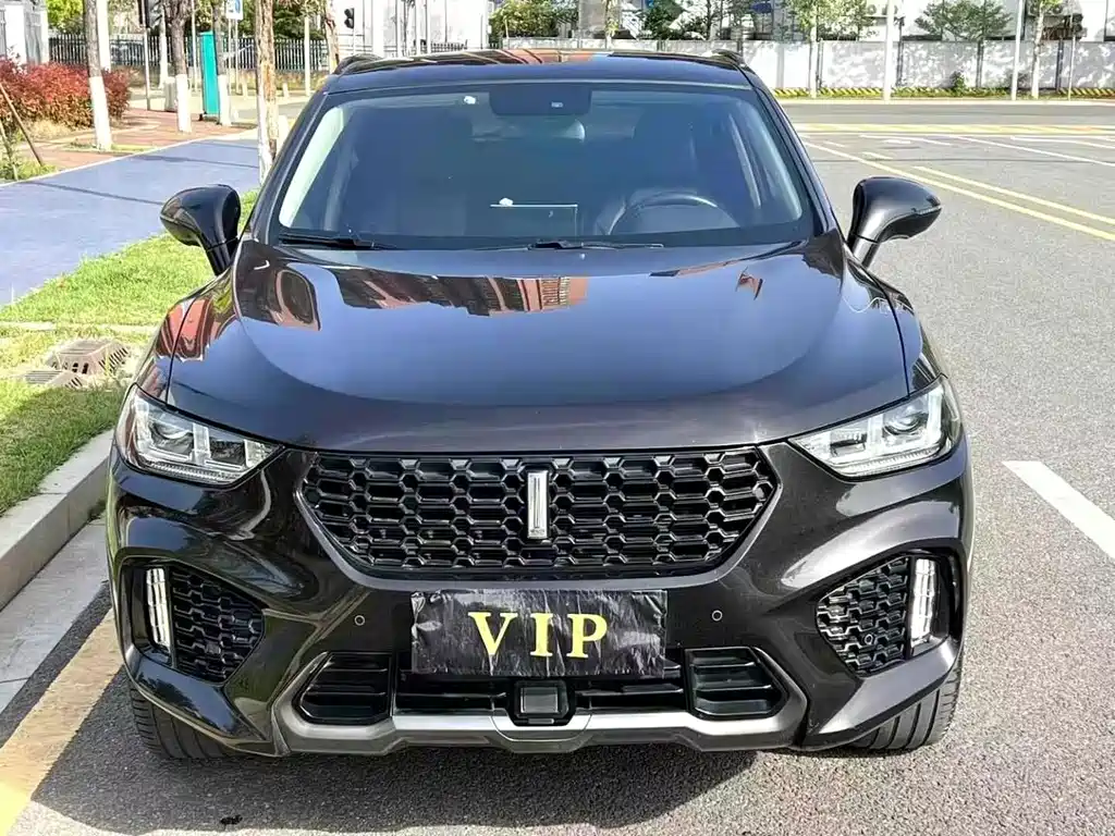 Wey Wey VV5