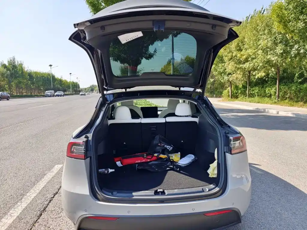 Tesla Model Y — миниатюра 9