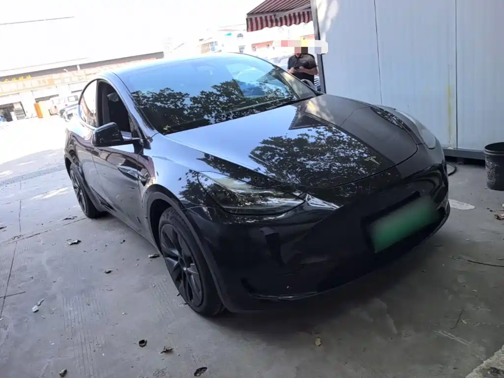 Tesla Model Y — миниатюра 4
