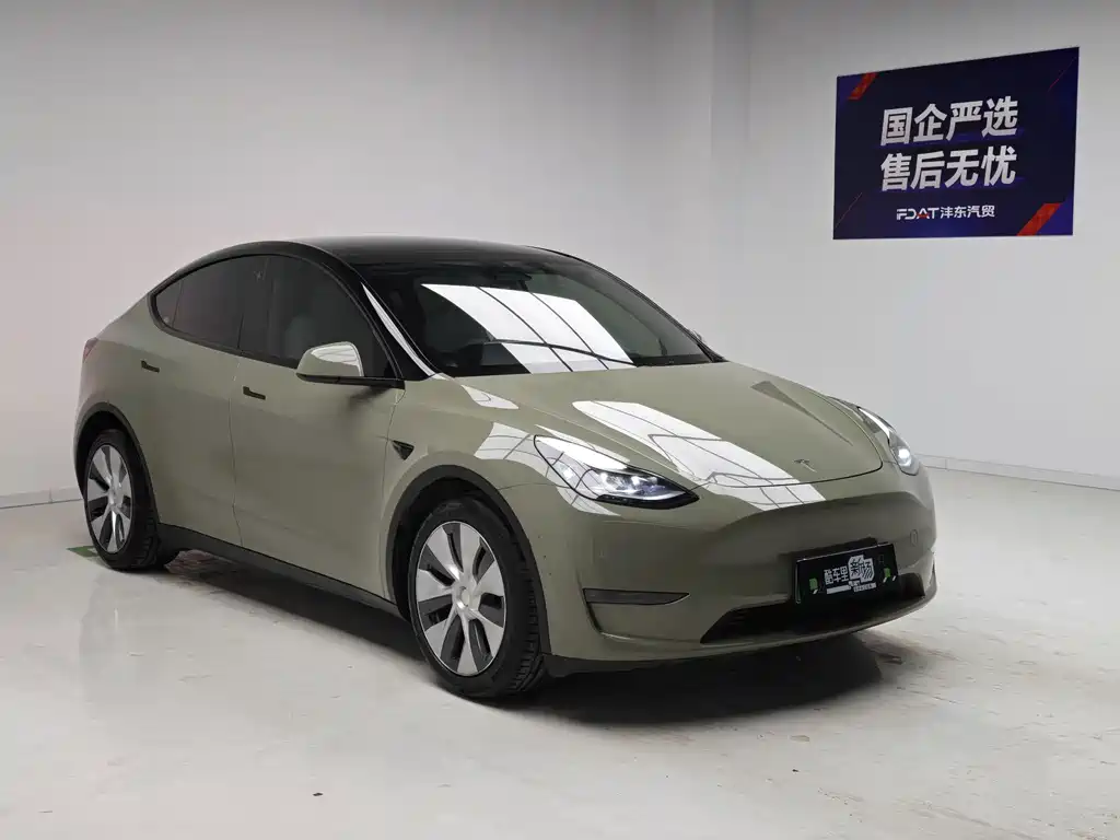 Tesla Model Y — миниатюра 3