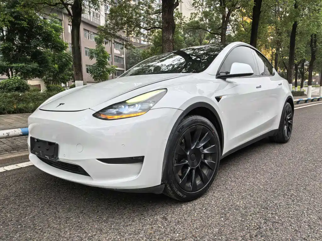 Tesla Model Y 2021