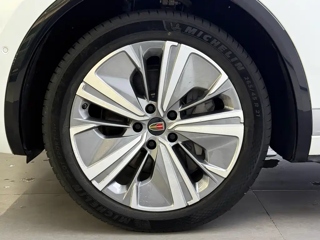 Hongqi E-HS9 2022 690km мест