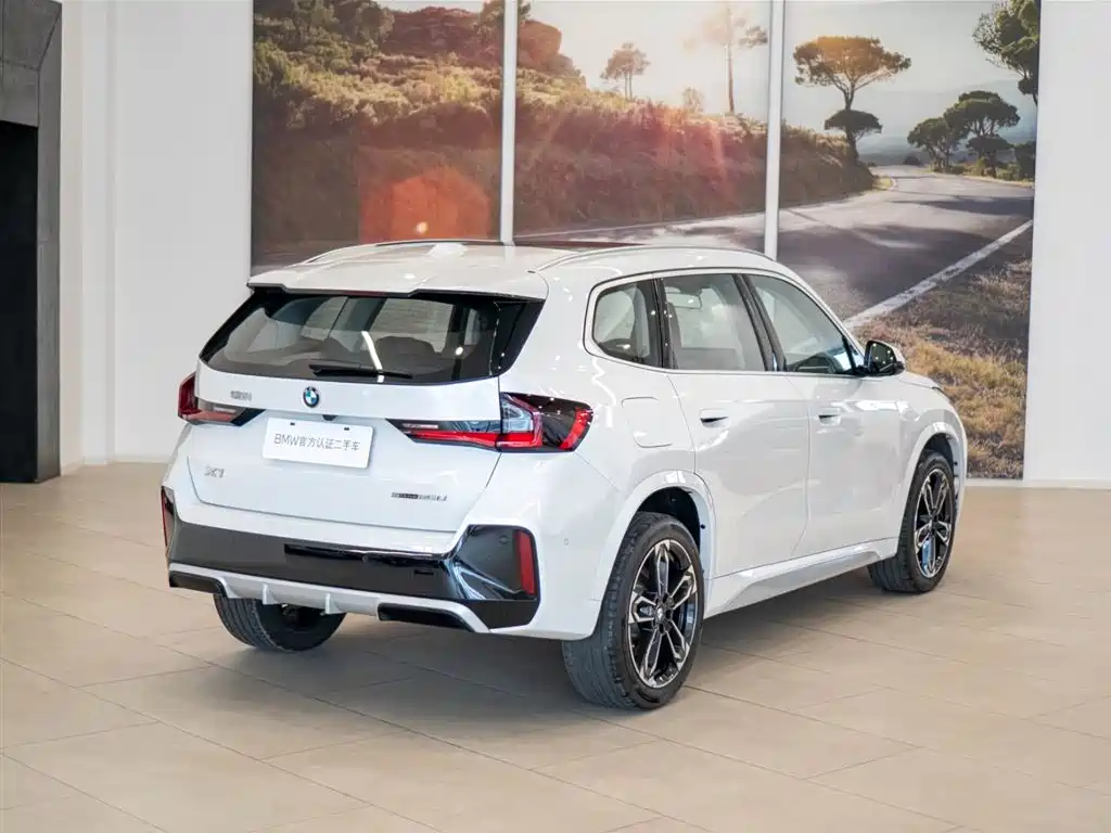 BMW X1 — миниатюра 6