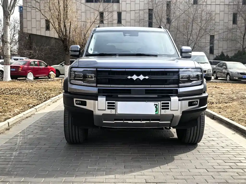 FANG CHENG BAO LEOPARD 5