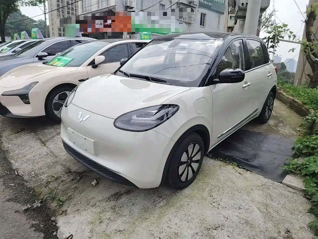 Wuling Binguo 2025 333km