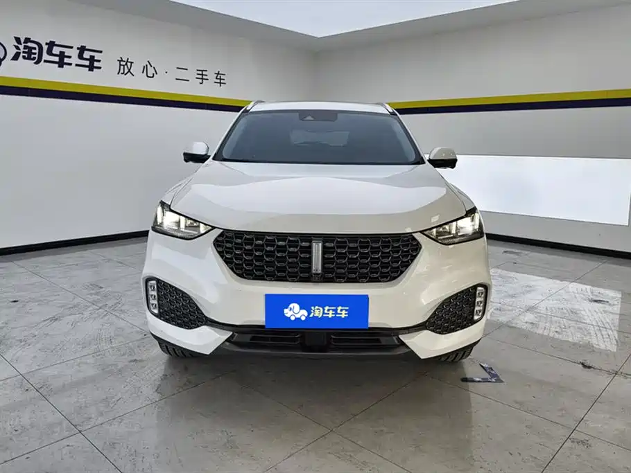 WEI PAI WEI BRAND VV6