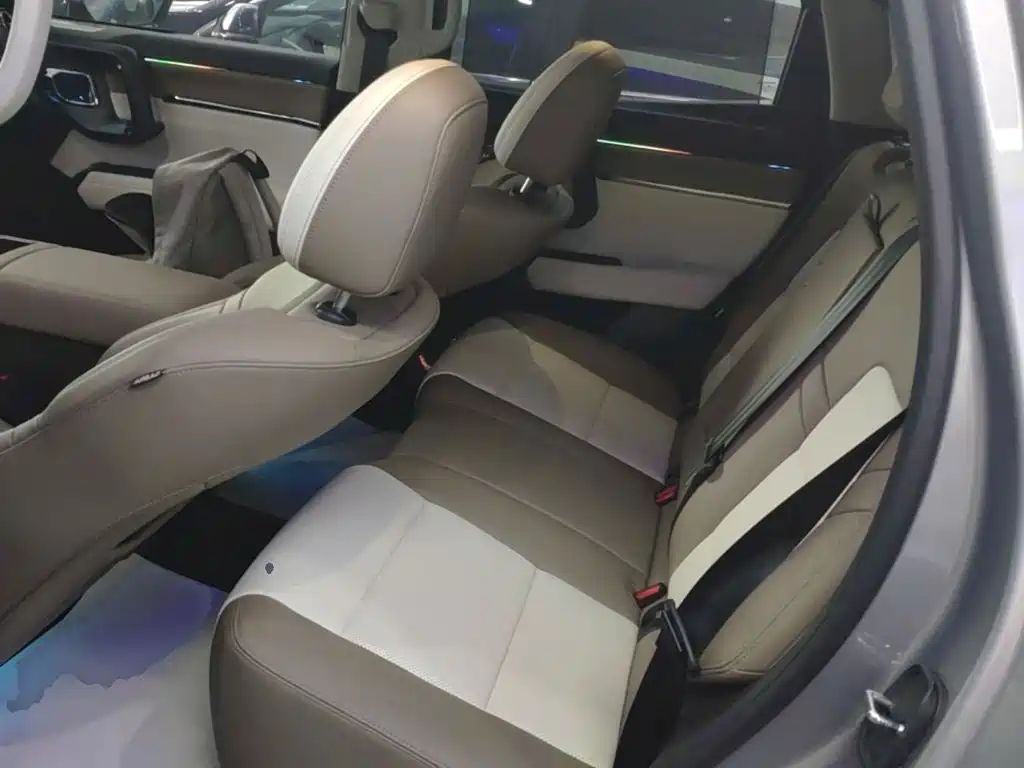 Haval Big Dog PLUS New Energy — миниатюра 17