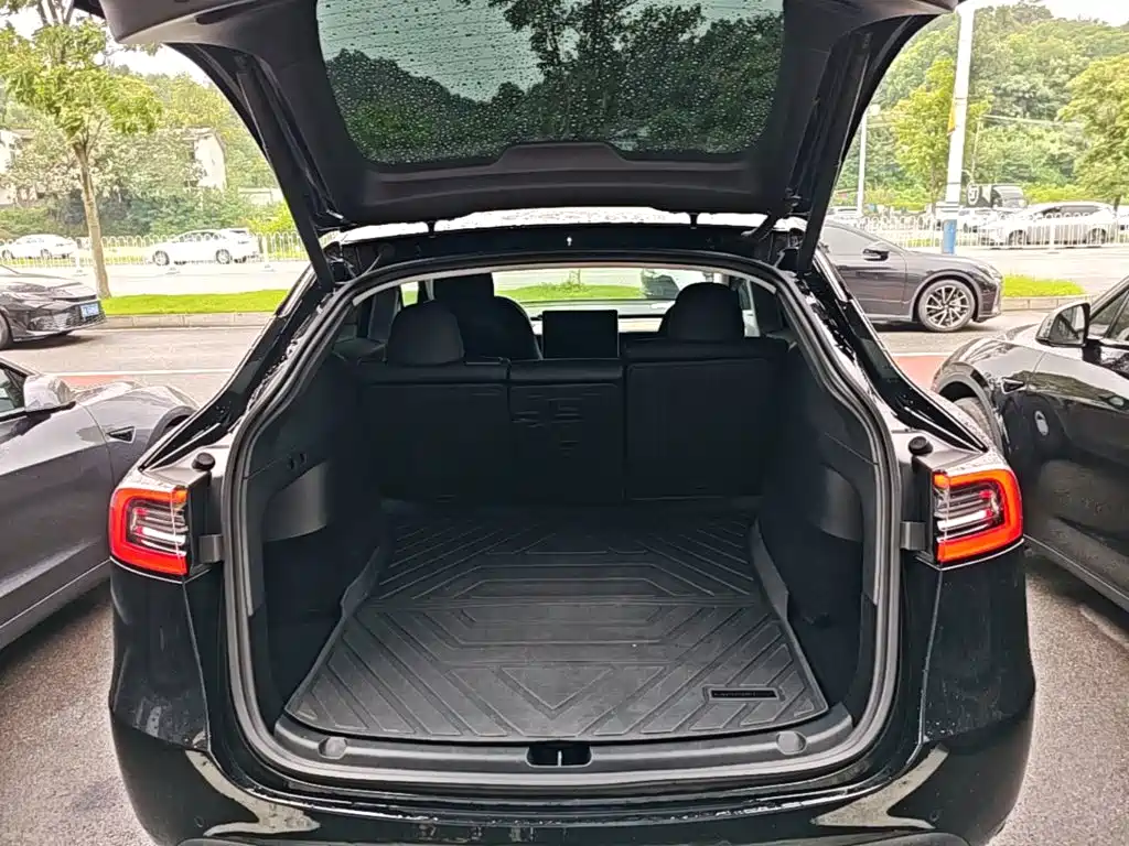 Tesla Model Y — миниатюра 19