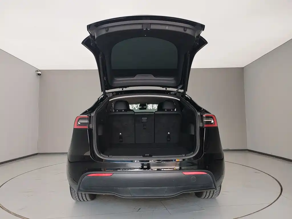 Tesla Model Y — миниатюра 7