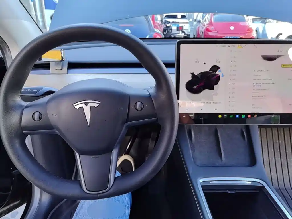 Tesla Model Y — миниатюра 10
