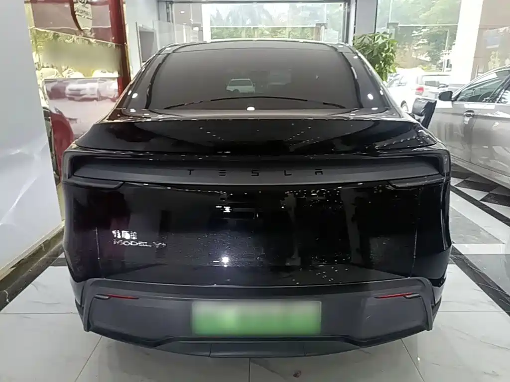 Tesla Model Y — миниатюра 6