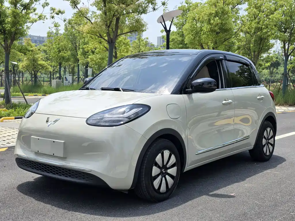 Wuling Bingo 2024
