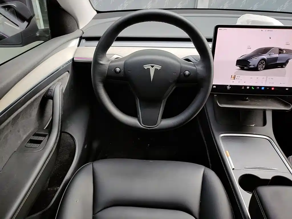 Tesla Model Y — миниатюра 11