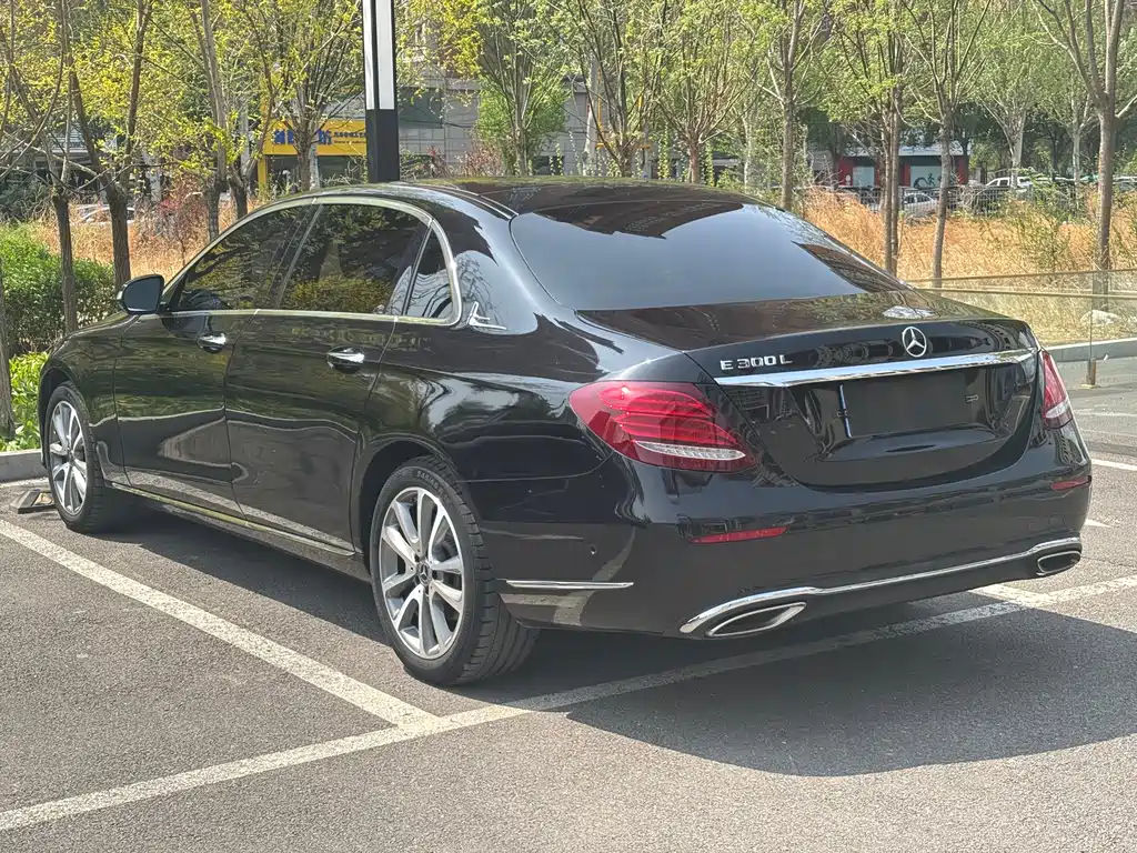Mercedes-Benz E-Class E 2019 E 300 L Luxury
