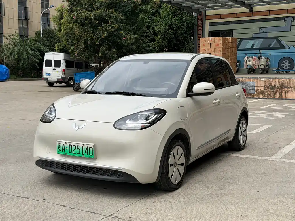 Wuling Binguo 2023 333km Enjoy