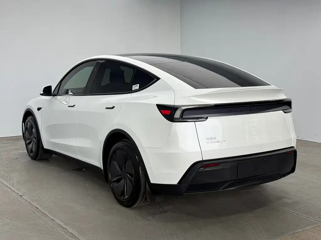 Tesla Model Y — миниатюра 5
