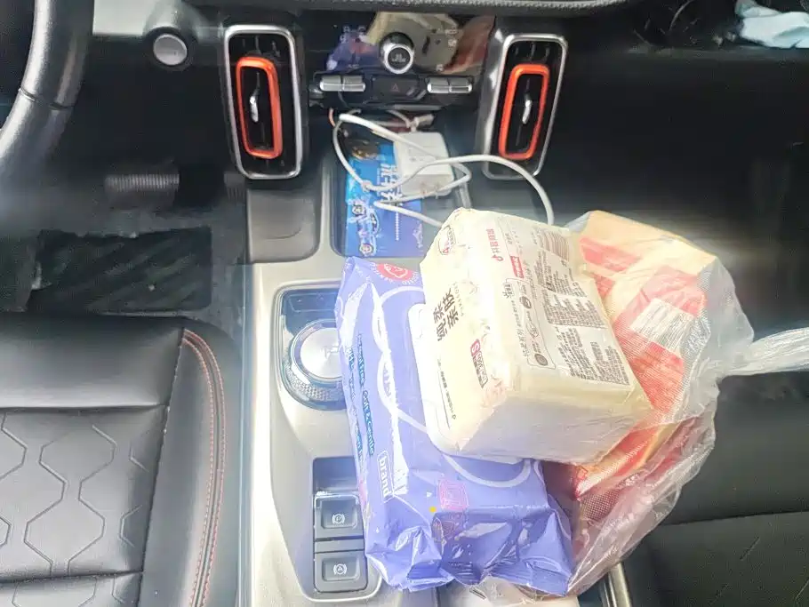 Haval Big Dog — миниатюра 16
